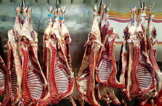 خودکفایی گوشت، قربانی رانت واردات شد